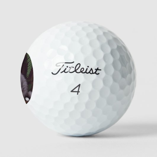 Banjo de Perzische: een pluizig grijs en wit genot Golfballen (Logo)