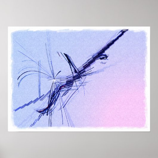 Banjo in C Major Poster (Voorkant)