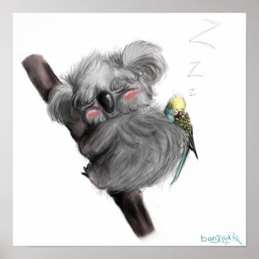 Banjo Koala en Benji Bird Poster (Voorkant)