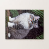 Banjo Le Chat Perse Fluffeux, Puzzle Jigsaw (Horizontal)