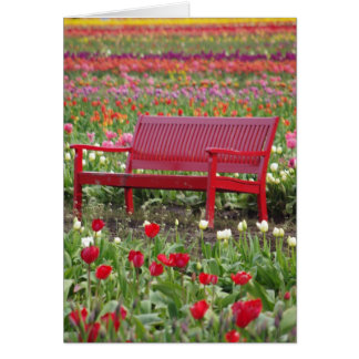 bank in een veld