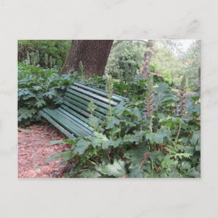 Bank in het park briefkaart