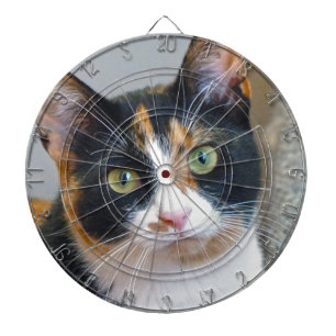 Banken Dartbord