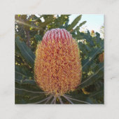 Banksia flower Enclosure Kaart (Voorkant)