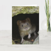 Bankspoel Kaart (Voorkant)