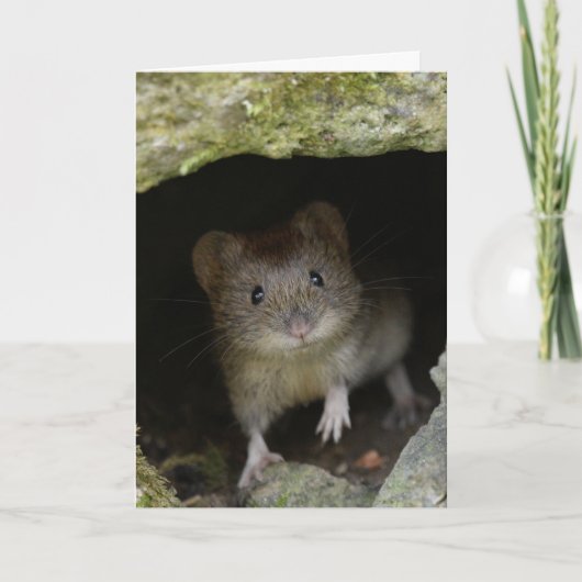 Bankspoel Kaart (Voorkant)