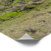 Bannack Ghost Town - Brussel Poster (Hoek)