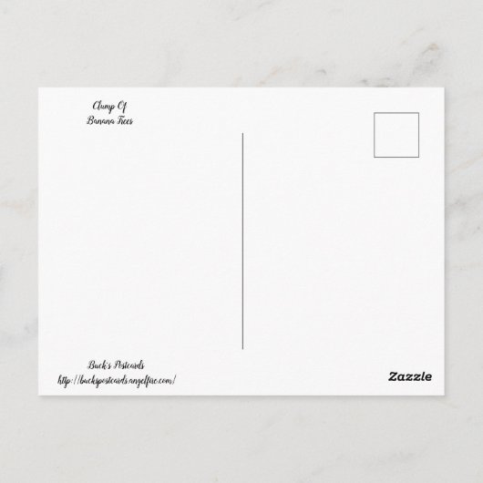 Bannana Trees Briefkaart (Achterkant)