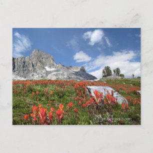 Banner Peak Wildbloemen - Ansel Adams Wilderness Briefkaart