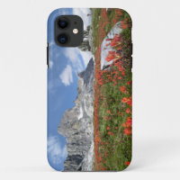Banner Peak Wildbloemen - Ansel Adams Wilderness