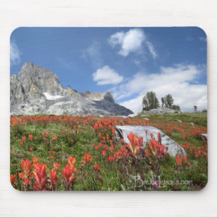 Banner Peak Wildbloemen - Ansel Adams Wilderness Muismat