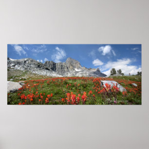 Banner Peak Wildbloemen - Ansel Adams Wilderness Poster