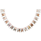 Bannière À Fanions 1er joli anniversaire 12 mois Photo Jalon (Tout)