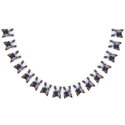 Bannière À Fanions Âne souriant gris comique (Tout)