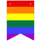 Bannière À Fanions Arc en ciel Indicateurs de Bunting LGBTQIA+ (Deuxième drapeau)