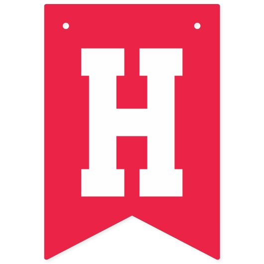 Bannière À Fanions Arc-en-ciel rétro et nuages Joyeux anniversaire (Deuxième drapeau)