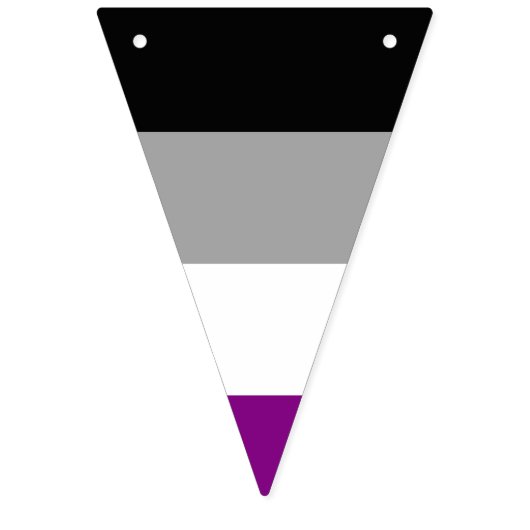 Bannière À Fanions Asexuality pride flag banner (Troisième drapeau)