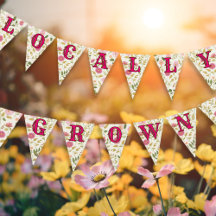 Baby shower rose Floral cultivé localement