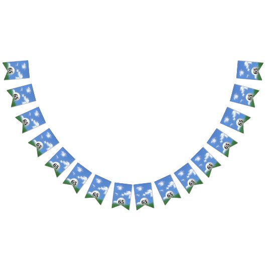 Bannière À Fanions Bal de golf pour 65e anniversaire Bunting Flags (Tout)