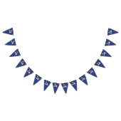 Bannière À Fanions Biden Harris (Tout)