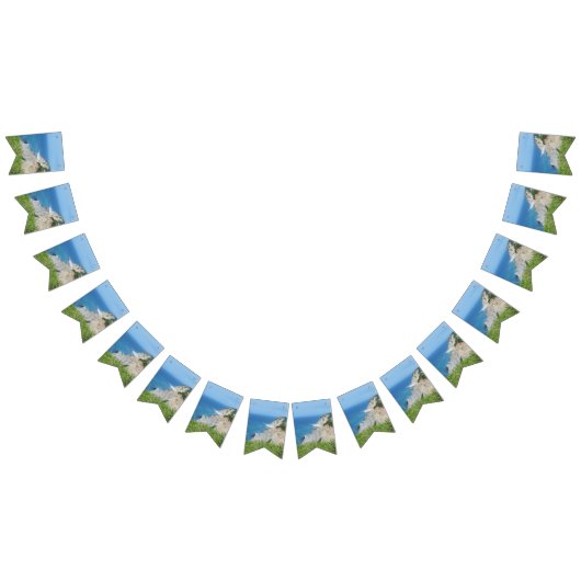 Bannière À Fanions Block Island Bluffs - Block Island, Rhode Island (Tout)