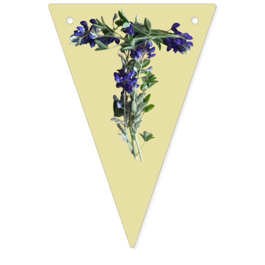 Bannière À Fanions Bluebonnets du Texas | Texas Pride (Deuxième drapeau)