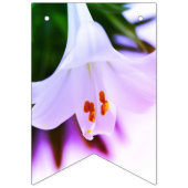 BANNIÈRE À FANIONS BUNING DE PÂQUES (Premier drapeau)