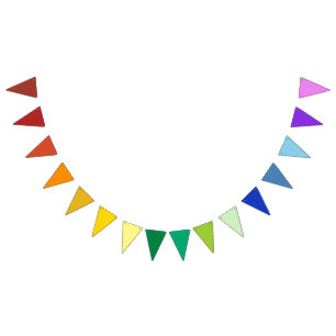 Bannière À Fanions C'est un Rainbow Party, Multi-Coloured Solids Moti