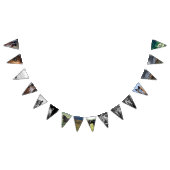 Bannière À Fanions Cheval Bund (Tout)