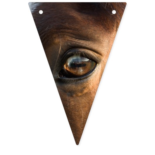 Bannière À Fanions Cheval Bund (Deuxième drapeau)