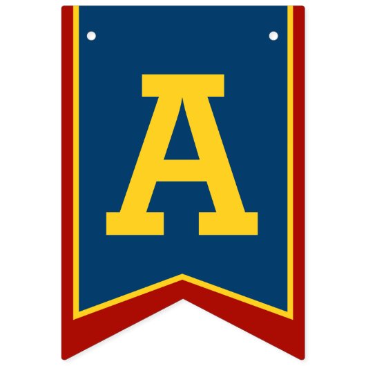 Bannière À Fanions Chevaliers médiéval Joyeux Anniversaire 10e drapea (Deuxième drapeau)