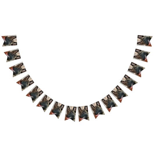 Bannière À Fanions Chien malinois (Tout)