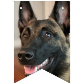 Bannière À Fanions Chien malinois (Troisième drapeau)