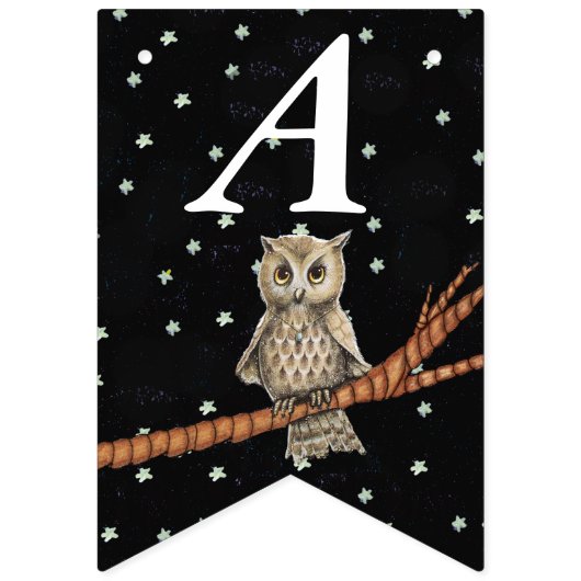 Bannière À Fanions Chouette d'anniversaire assez Brown sur les étoile (Deuxième drapeau)