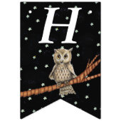 Bannière À Fanions Chouette d'anniversaire assez Brown sur les étoile (Premier drapeau)