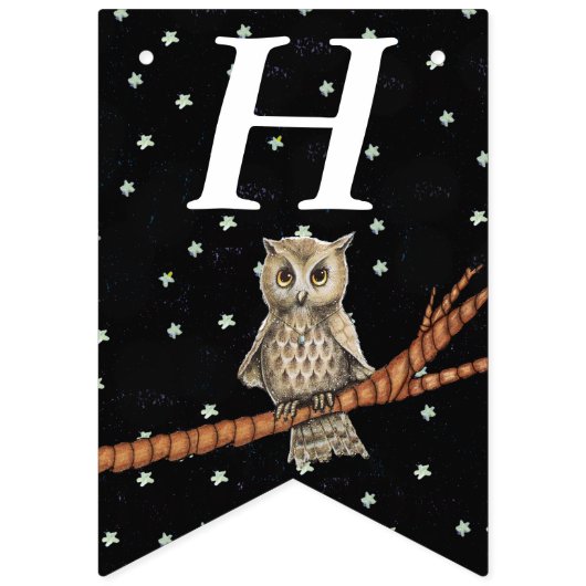 Bannière À Fanions Chouette d'anniversaire assez Brown sur les étoile (Premier drapeau)