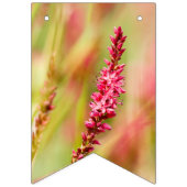 Bannière À Fanions coloris (Premier drapeau)