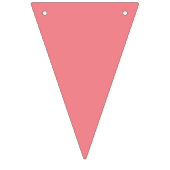 Bannière À Fanions Corail et Turquoise (Troisième drapeau)