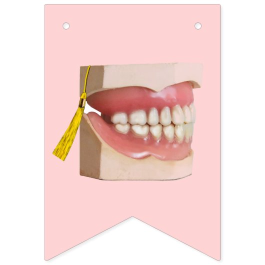 Bannière À Fanions Dentiste (Premier drapeau)