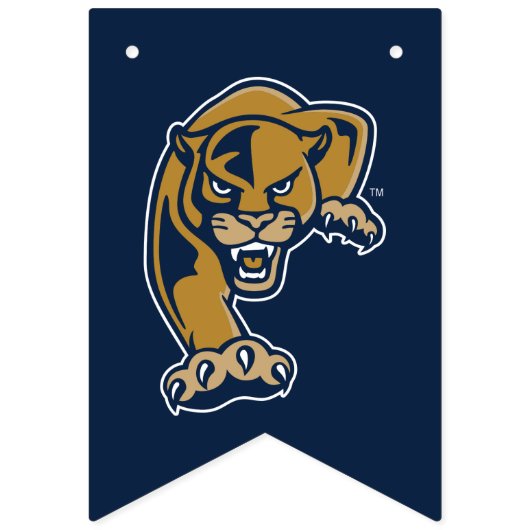 Bannière À Fanions Diplôme de la FIU Panthers (Premier drapeau)
