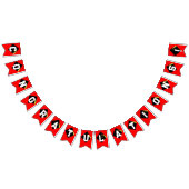 Bannière À Fanions Félicitations d'obtention de diplôme (Tout)