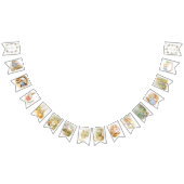 Bannière À Fanions Fleur sauvage Peter le lapin Grotte d'anniversaire (Tout)