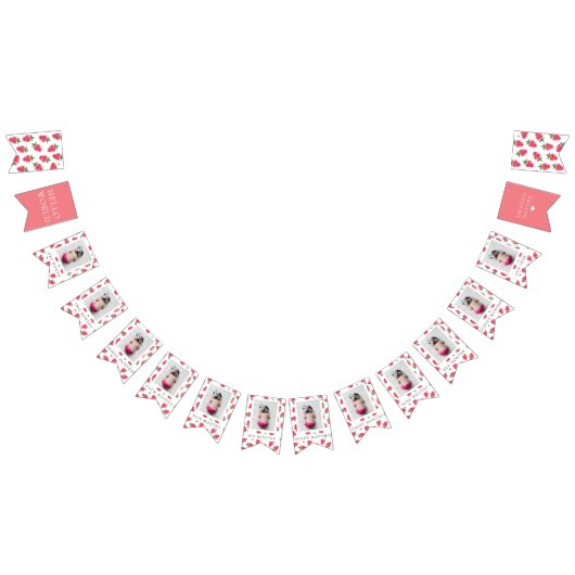 Bannière À Fanions Fraise Fille Premier anniversaire Jalons Photos (Tout)