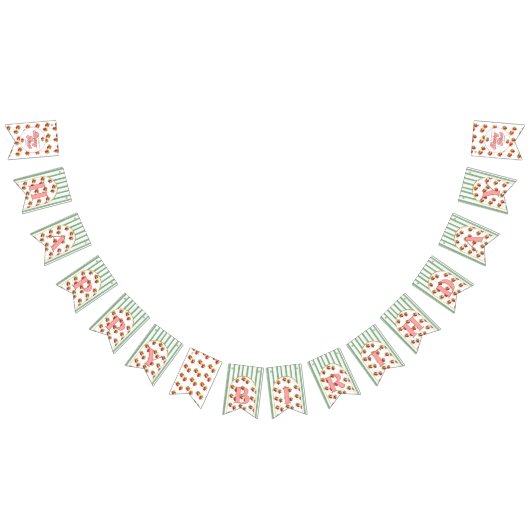 Bannière À Fanions Framboise verte et blanche Fraise Joyeux anniversa (Tout)