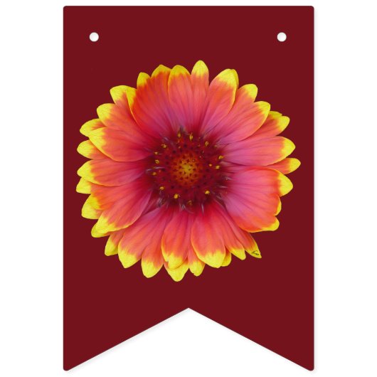 Bannière À Fanions Gaillardia 1 (Premier drapeau)