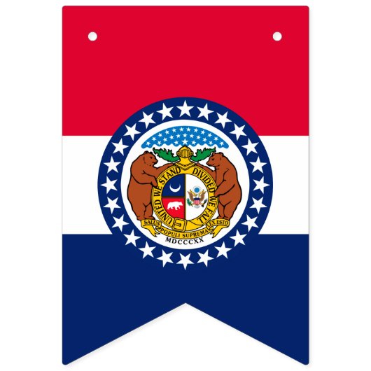 Bannière À Fanions Graphique de l'indicateur d'état dynamique du Miss (Deuxième drapeau)