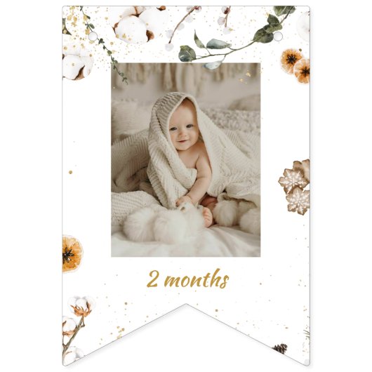 Bannière À Fanions Hiver Onderland Anniversaire Mois Photo (Troisième drapeau)