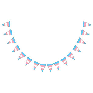 Bannière À Fanions Indicateur de fierté transgenre