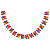 Bannière À Fanions Indicateur De Pride Progressive Inclusive Du Trava (Tout)