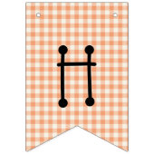 Bannière À Fanions Joyeux anniversaire En vichy Rainbow Bunting drape (Premier drapeau)